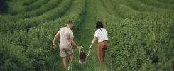 Happy family walking together through a lush green field enjoying nature and togetherness.